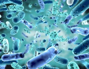 Probiotics enzyme