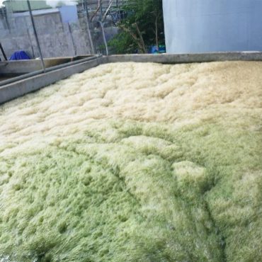 Nước thải trước khi xử lý qua EnviClean AMO