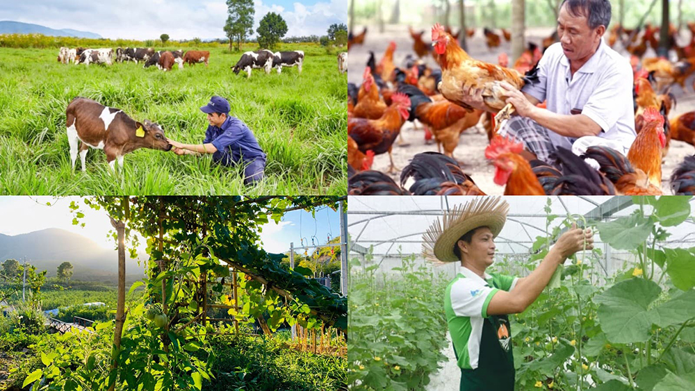 Chế phẩm vi sinh trong trồng trọt chăn nuôi