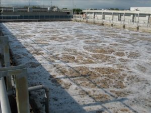 Chế phẩm vi sinh xử lý nước thải