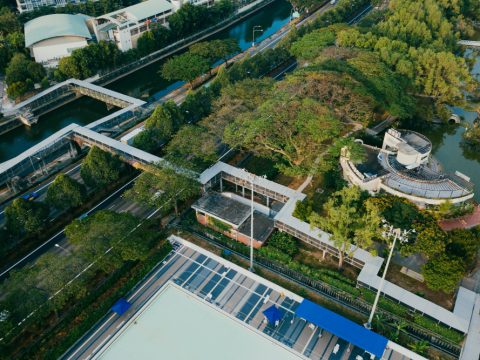 Công nghệ xử lý nước thải sinh hoạt bằng vi sinh
