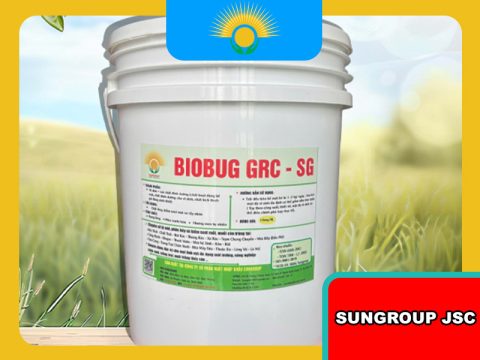 Men vi sinh xử lý rác thải công nghiệp – Giải pháp tiết kiệm chi phí